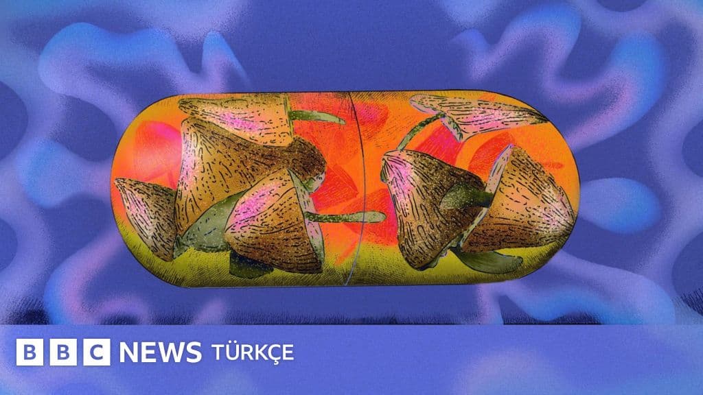 'Sihirli' mantarlar sigarayı bırakmaya yardımcı olabilir mi?