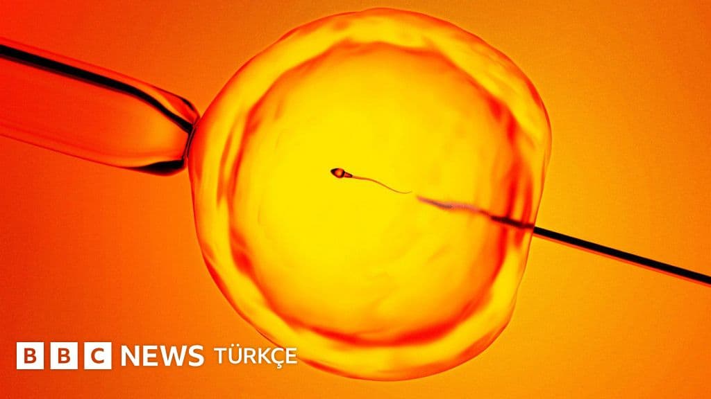 Yapay zeka 'gizli' spermleri bulmakta nasıl kullanılıyor?